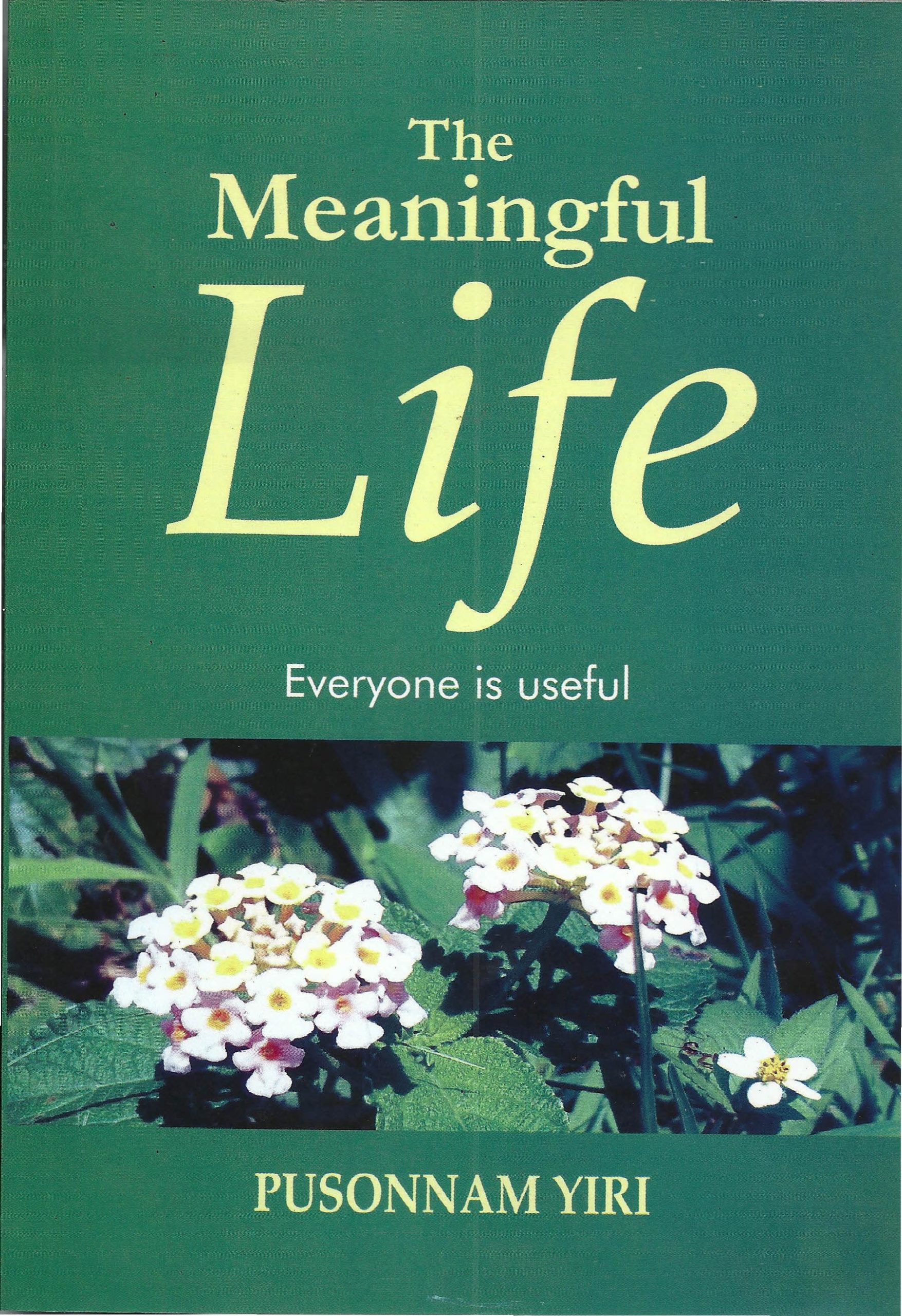 The Meaningful Life: Everyone is Useful 